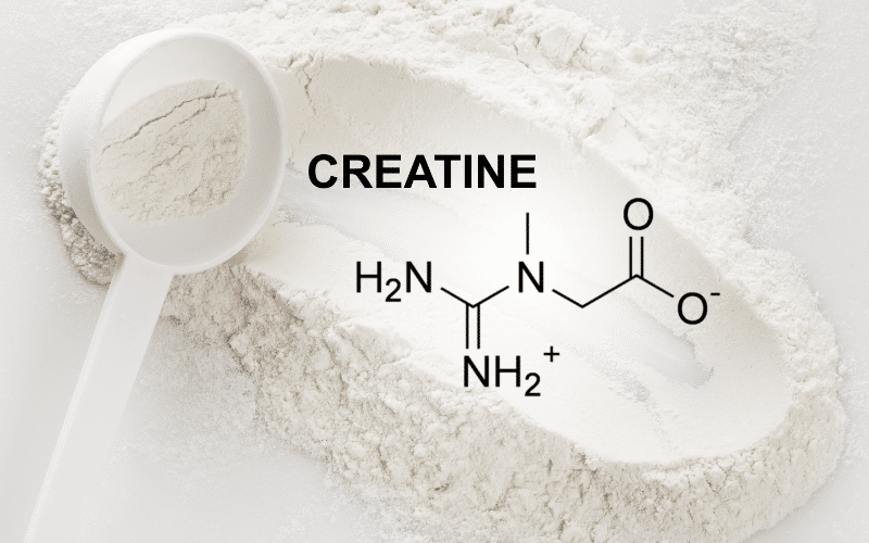 creatine