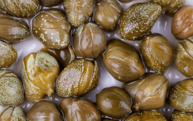 Capers Color Definition What Are Capers And Are They Vegan?
